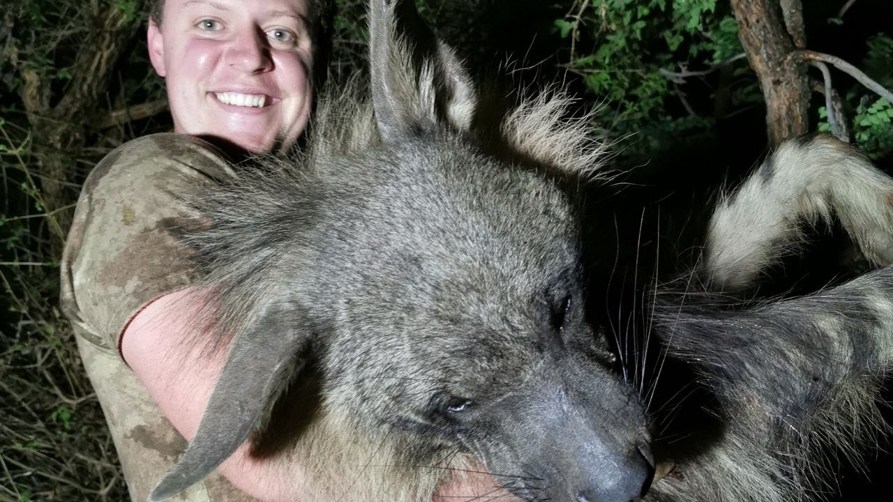 Brown Hyena Hunt - The Werewolf of Africa!